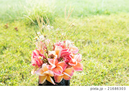 plumeria flower in the vase,soft focus. plumeria flower in the vase,soft focus. 21686303
