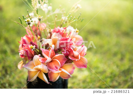 plumeria flower in the vase,soft focus. 21686321