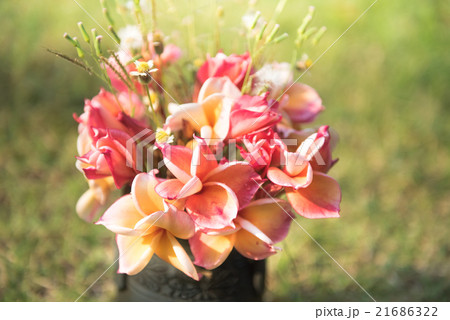 plumeria flower in the vase,soft focus. 21686322