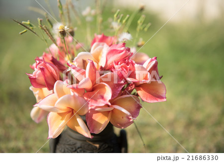 plumeria flower in the vase,soft focus. 21686330