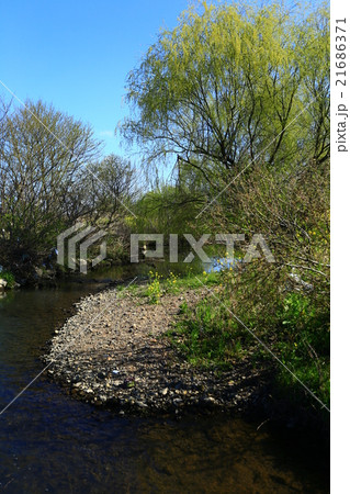 春の遠賀川 春の遠賀川 21686371