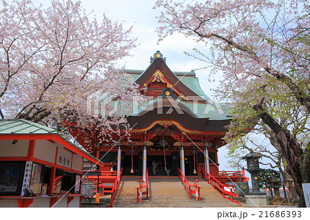 東海寺の本堂 東海寺の本堂 21686393