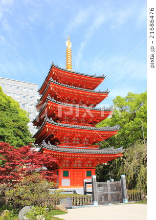 福岡市　東長寺の五重塔 21686476