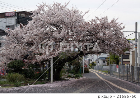 ＪＲ和田岬駅 21686760