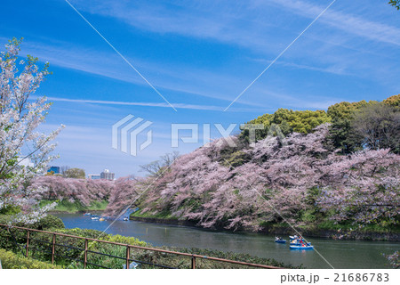 春の青空 春の青空 21686783
