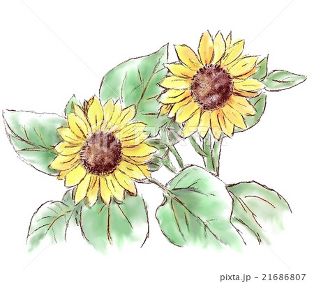 ひまわり パソコン絵画のイラスト素材