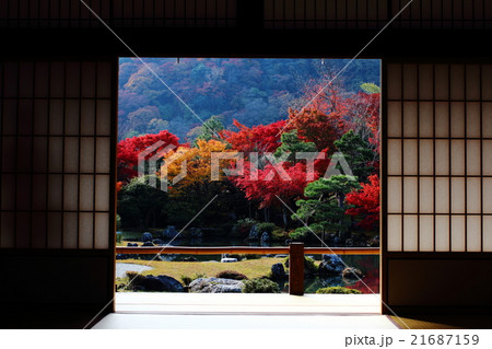 天龍寺紅葉 21687159