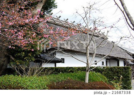 代官屋敷黒田邸　母屋（静岡県菊川市） 21687338