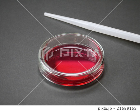 細胞培養（ディッシュ） 21689165