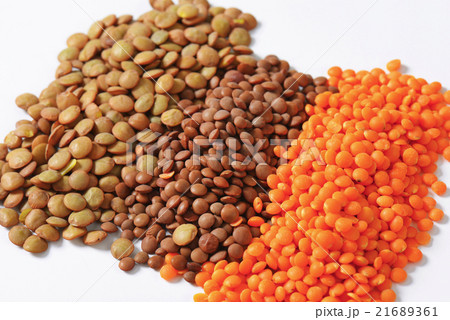 Lentil varieties 21689361
