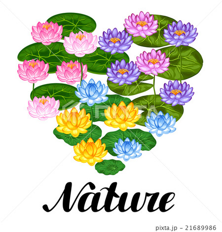 Natural background with lotus flowers and leaves Natural background with lotus flowers and leaves 21689986