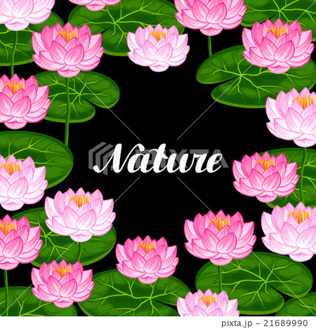 Natural background with lotus flowers and leaves 21689990