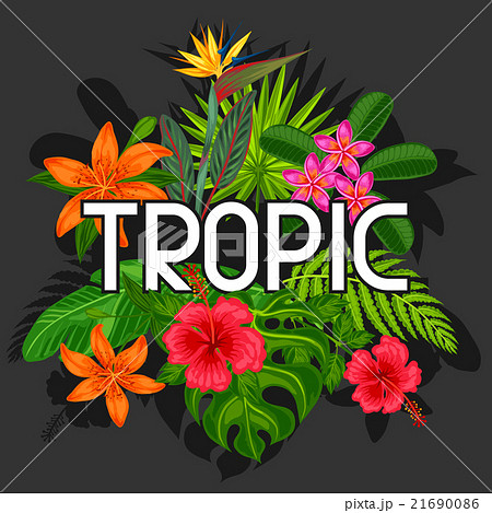 Background with stylized tropical plants, leaves 21690086