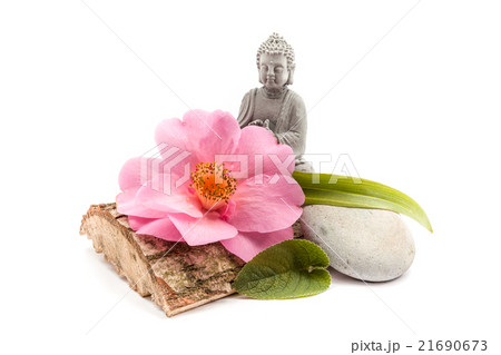 Stones and trunk whit flower and Buddha 21690673