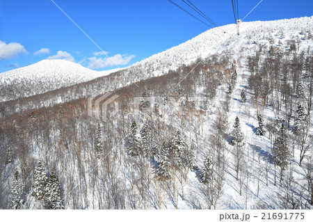冬の八甲田ロープウェー 冬の八甲田ロープウェー 21691775
