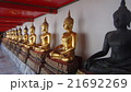 アンコールワット内 21692269