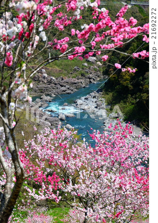 引地橋　高知県　仁淀川町 21692272