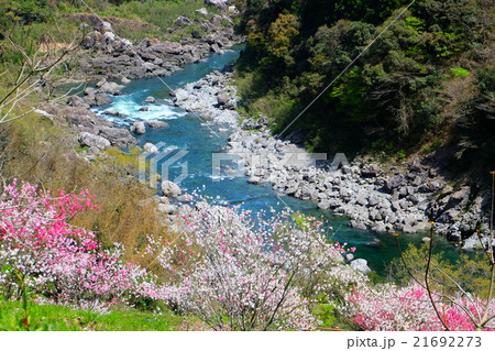 引地橋　高知県　仁淀川町 21692273