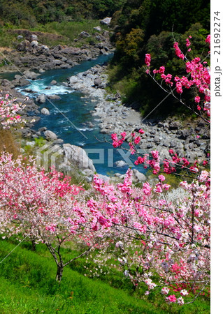 引地橋　高知県　仁淀川町 21692274