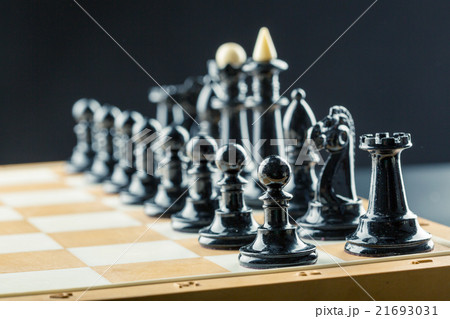 Chess figures Chess figures 21693031