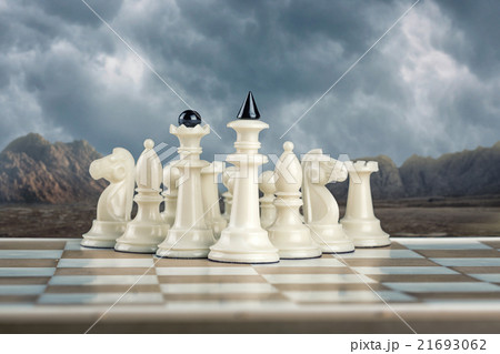 White chess team 21693062