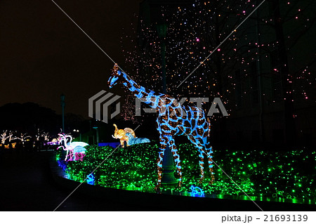 イルミネーション 21693139