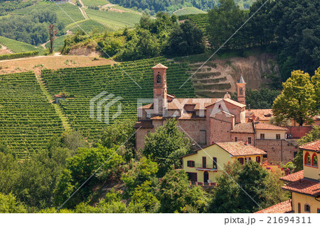 Rural church and vienyards in Italy. 21694311