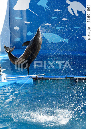仙台・うみの杜水族館 仙台・うみの杜水族館 21694664