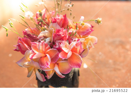 plumeria flower in the vase,soft focus. 21695522