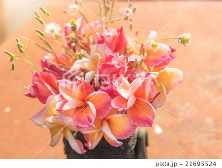 plumeria flower in the vase,soft focus. 21695524