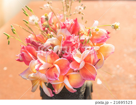 plumeria flower in the vase,soft focus. plumeria flower in the vase,soft focus. 21695525
