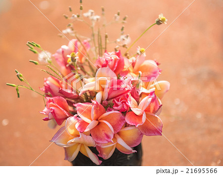 plumeria flower in the vase,soft focus. plumeria flower in the vase,soft focus. 21695566