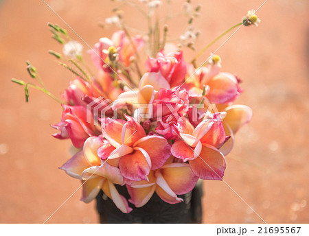 plumeria flower in the vase,soft focus. 21695567