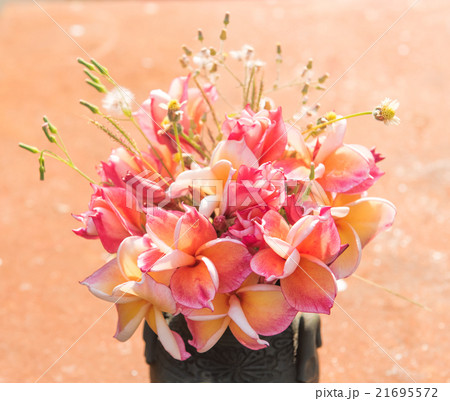 plumeria flower in the vase,soft focus. 21695572