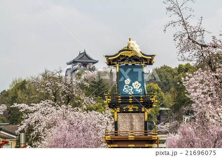 犬山祭　車山　犬山城　桜 21696075