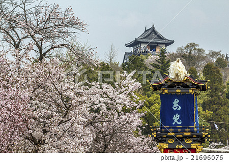 犬山祭　車山　犬山城　桜 21696076