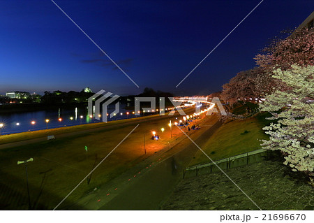 岡山さくらカーニバル夜景と岡山城の写真素材