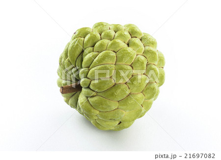 フルーツ 果物 果実 21697082