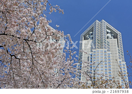 桜と東京都庁 桜と東京都庁 21697938