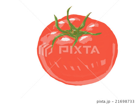 トマト 21698733