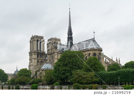 The Cathedral of Notre Dame de Paris, France 21699259