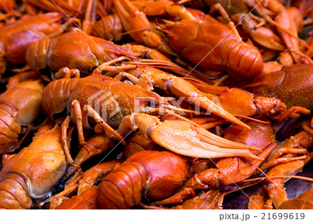 Bunch of red cooked crayfish 21699619