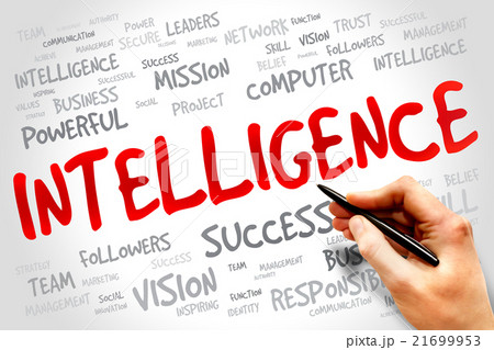 Intelligence 21699953