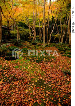 京都 祇王寺の紅葉 京都 祇王寺の紅葉 21701606