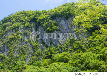 新緑の白滝公園 新緑の白滝公園 21701982