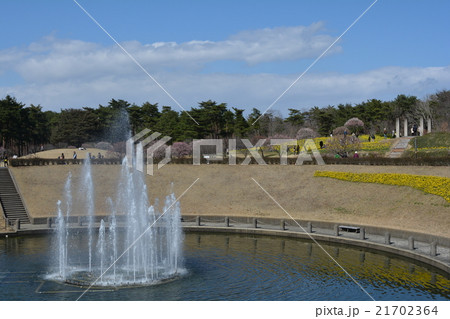 ひたち海浜公園 ひたち海浜公園 21702364