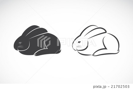 Vector image of an rabbit design Vector image of an rabbit design 21702503