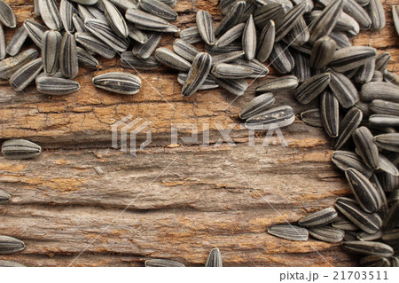 sunflower seeds. sunflower seeds. 21703511
