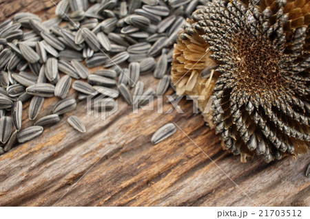 sunflower seeds. 21703512