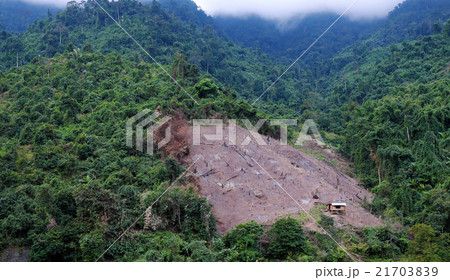 Deforest, Viet Nam, forest, Vietnam, disaster 21703839
